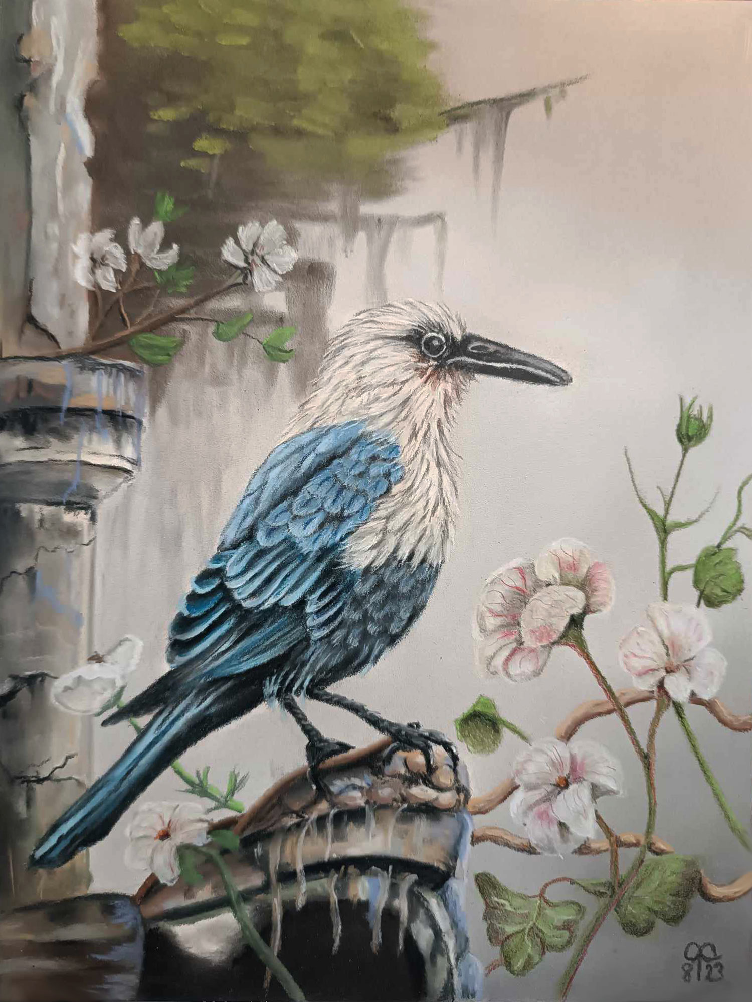 ampersand_pastellvogel_m