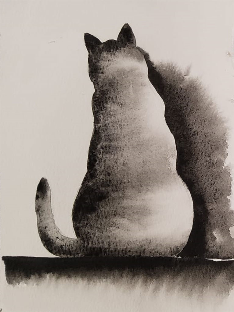 katze