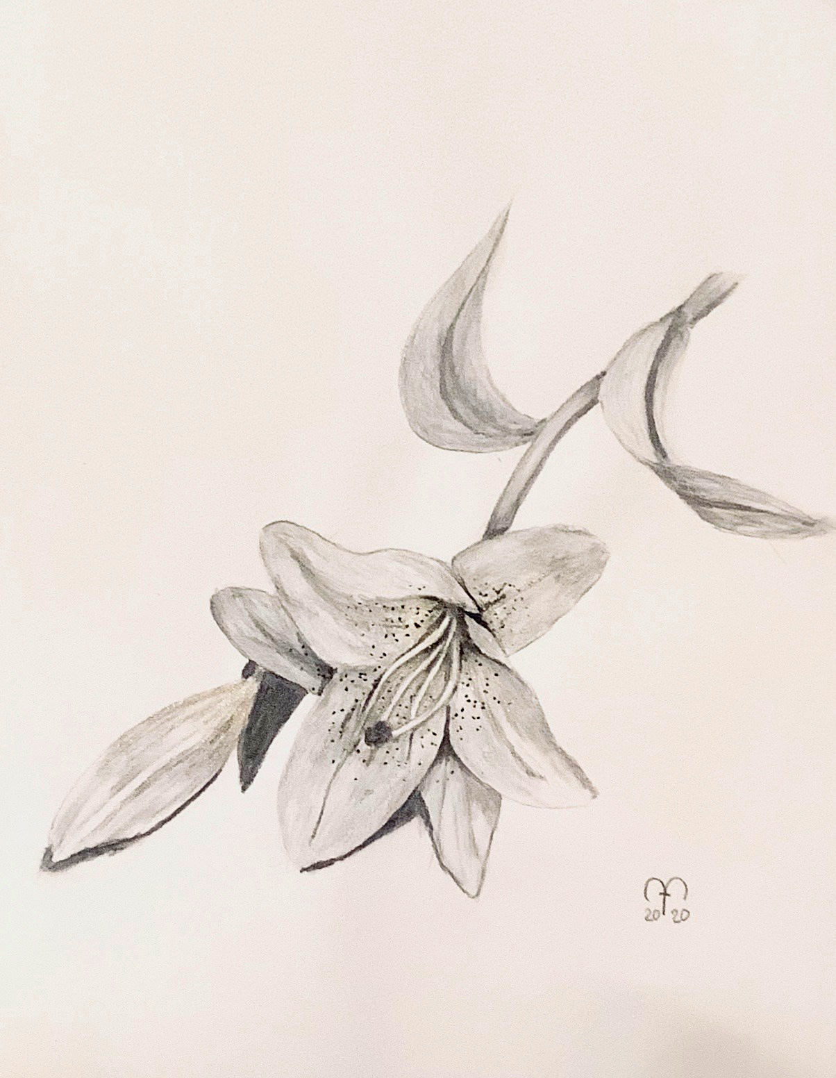 lilie_staedler_aquarellbleistifte