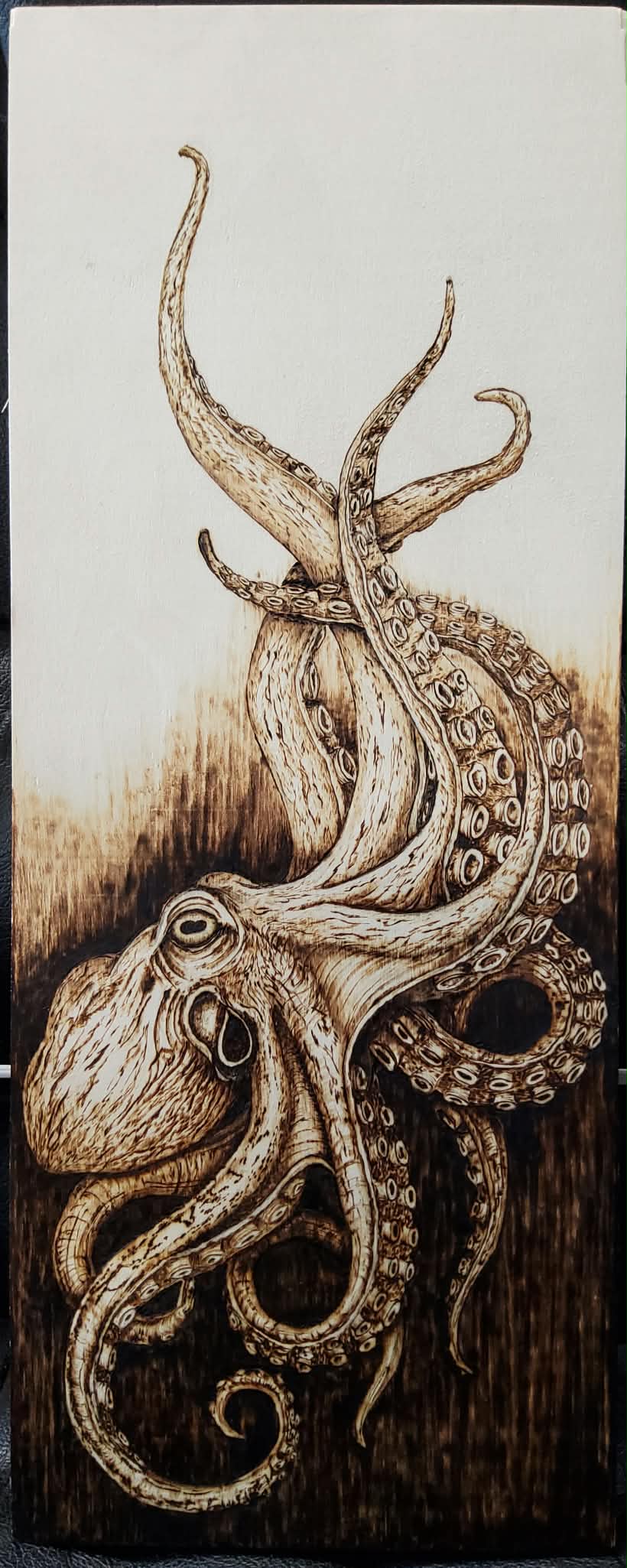 oktopus
