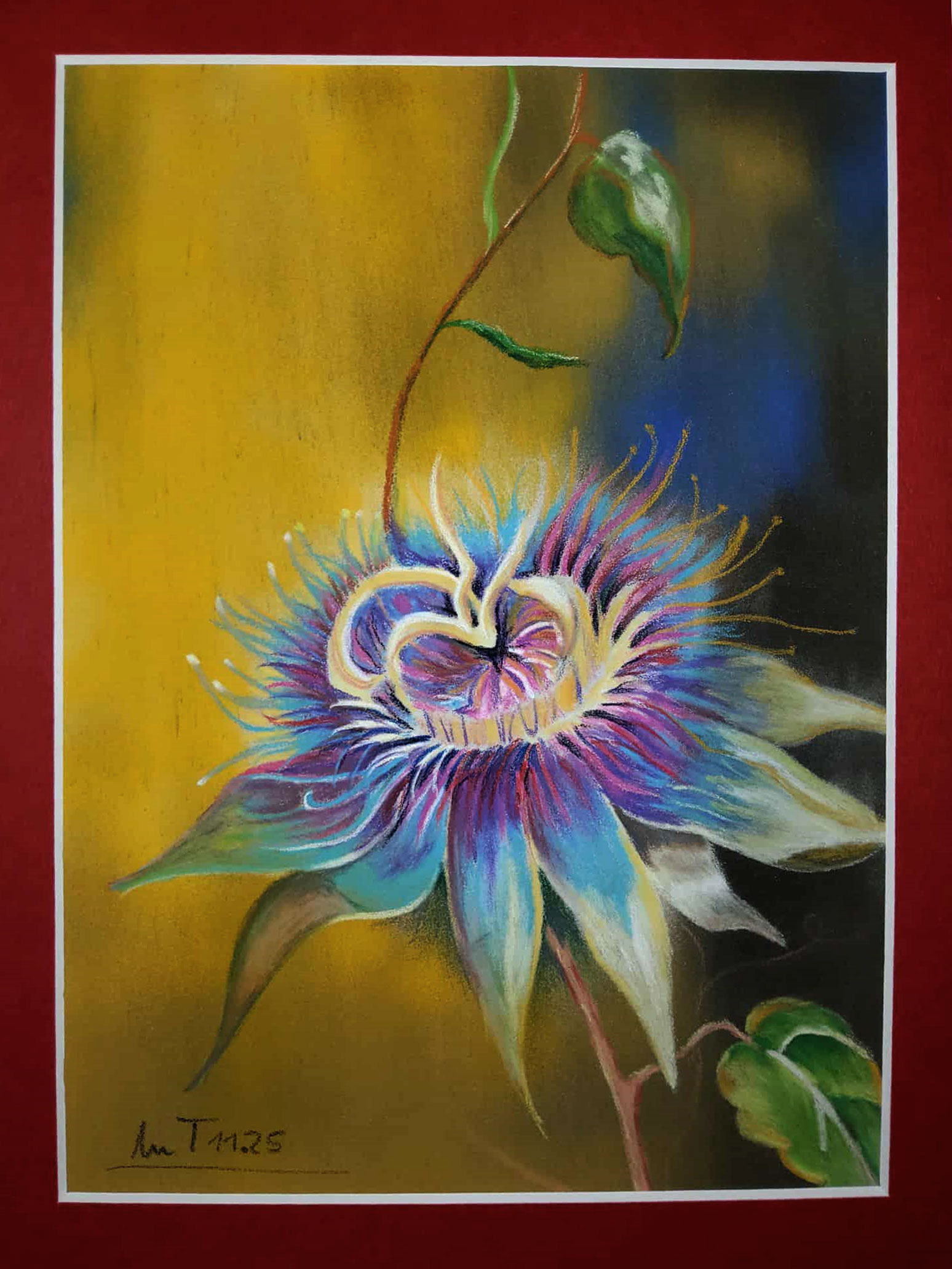 passionsblume_sennelier_panpastell